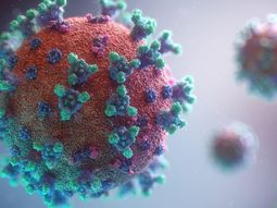 El costo de evitar futuras pandemias equivale a apenas el 2% del daño económico que generó el Covid-19