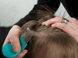 Prohíben en todo el país el uso y la venta de 43 cosméticos: 11 son para chicos