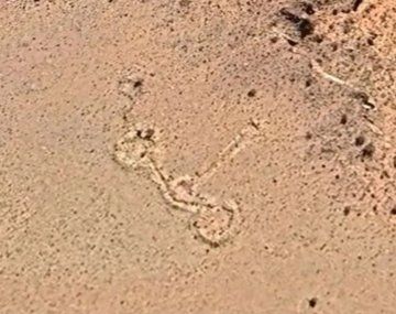 Investigan una misteriosa estructura de piedra hallada en la Cordillera de Mendoza