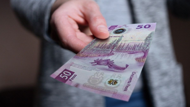 ¿Cuánto debes pedir por una hora de trabajo en México 2025?