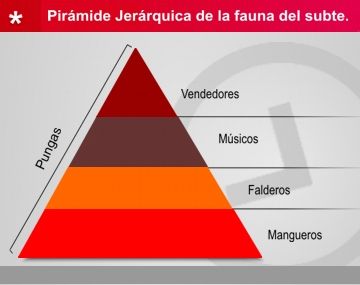 Grafica