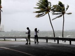 el huracan irma se siente en las calles de miami el huracan irma se siente en las calles de miami