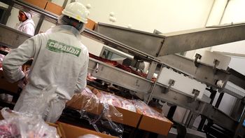 Varios frigoríficos uruguayos quedaron habilitados para exportar estómagos bovinos a China. Varios frigoríficos uruguayos quedaron habilitados para exportar estómagos bovinos a China.