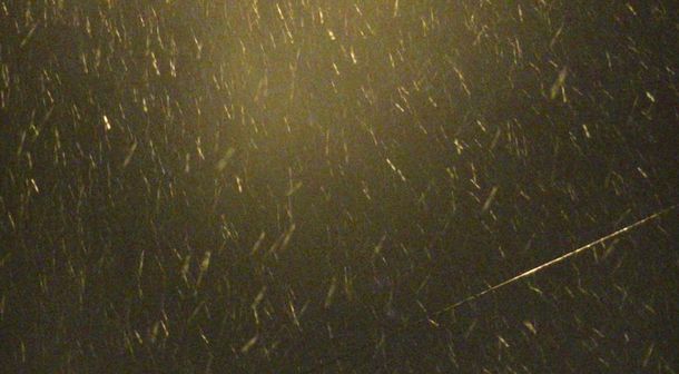 La aguanieve en Mar del Plata, en imágenes