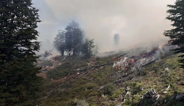 Incendios en la Patagonia: Pedimos colaboración a Chile, pero están en una situación casi más delicada