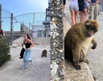 Una joven fue atacada por un mono y el video se hizo viral