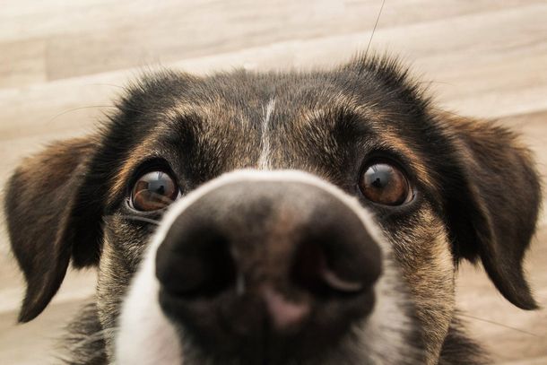 Este truco casero superó las 8 millones de reproducciones en Instagram. Este truco casero superó las 8 millones de reproducciones en Instagram.