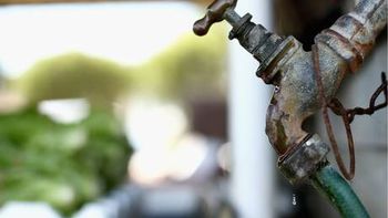 encuentran un parasito come cerebros en el agua potable encuentran un parasito come cerebros en el agua potable