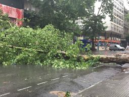 Destrozos en las calles de Montevideo Destrozos en las calles de Montevideo