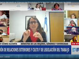 Diputados analizaron las experiencias, desafíos y propuestas del Tercer Sector para la pospandemia