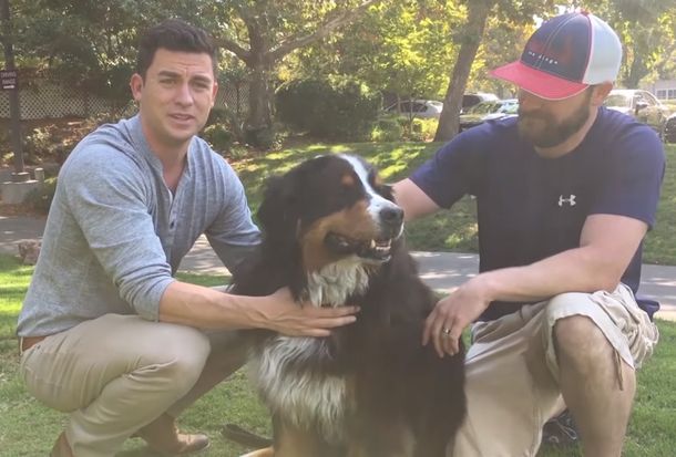 VIDEO: El emotivo reencuentro de una familia con su perro perdido