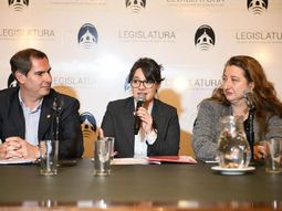 Marziotta: Larreta no se hace cargo de la emergencia en la ciudad