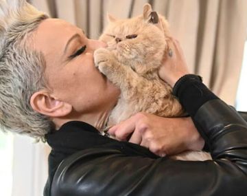 Daniela Cardone dio detalles de cómo fueron las últimas horas de Garfield