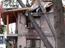 El temporal provocó la caída de más de 200 árboles en Córdoba