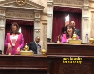 Picante cruce de Cristina con Lousteau en el Senado