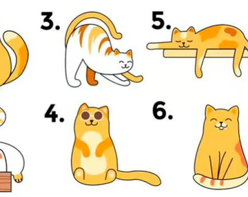 El test viral que revelará si sos un buen líder según el gato que elijas