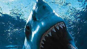 Tiburon-blanco-2 Tiburon-blanco-2