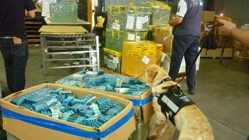 la afip incauto veinte mil medicamentos para adelgazar truchos la afip incauto veinte mil medicamentos para adelgazar truchos