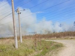 incendio en la plata: el fuego avanzo sin control y consumio al menos 10 hectareas incendio en la plata: el fuego avanzo sin control y consumio al menos 10 hectareas