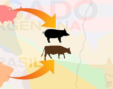 En el país del asado