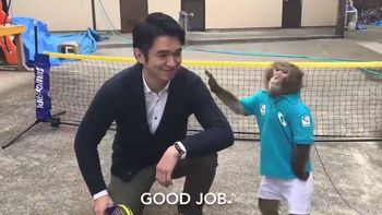 ¿es real? un mono la rompe jugando al tenis y sorprende a todos ¿es real? un mono la rompe jugando al tenis y sorprende a todos