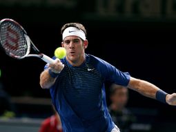 del potro le gano a dimitrov y avanza en paris del potro le gano a dimitrov y avanza en paris