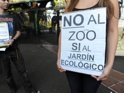 Renunció el director del Zoo por recortes presupuestarios