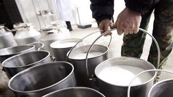 despues del frutazo, los productores regalaran leche en plaza de mayo despues del frutazo, los productores regalaran leche en plaza de mayo