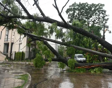 Foto gentileza: Télam&nbsp;