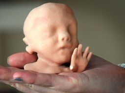 imprimen bebes 3d para que futuros padres conozcan a su hijo imprimen bebes 3d para que futuros padres conozcan a su hijo