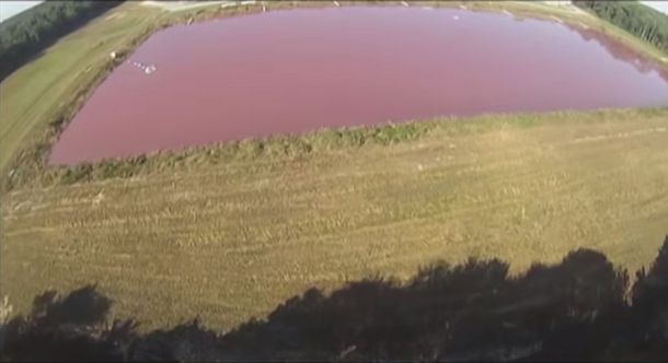 Un video asqueroso: una granja expulsa excremento al aire en forma de lluvia fina