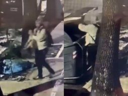 Indignante: un hombre tiró a su cachorro a la basura