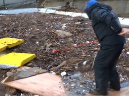 el rescate de un perro durante el temporal el rescate de un perro durante el temporal