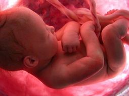 america latina, la region con la mayor tasa de abortos america latina, la region con la mayor tasa de abortos