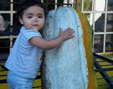 Cosechó un zapallo de más de 48 kilos: tenía la altura de mi nieta