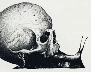 Qué ves: el test viral que revela cuál es tu trabajo soñado