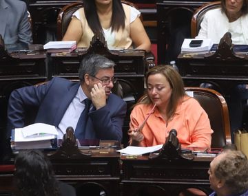 Diputados: Martín Menem le cortó el micrófono y Cecilia Moreau lo cruzó con dureza