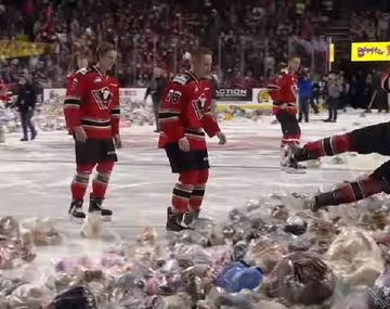 Tiraron 28 mil peluches en pleno partido