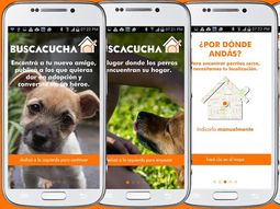Conocé a Buscucha, una app para mascotas