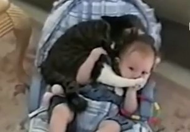 El amor incondicional que se profesan un gato y un bebé