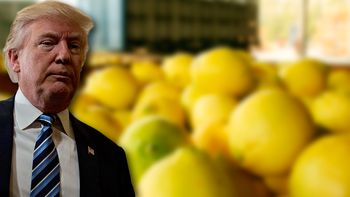 Extienden la suspensión a los limones argentinos por 30 días Extienden la suspensión a los limones argentinos por 30 días
