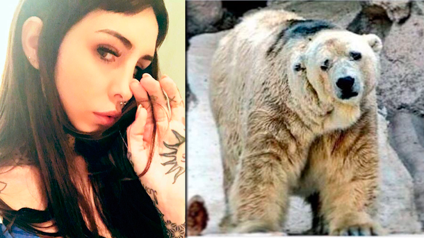 La angustia de Candelaria Tinelli por la muerte del oso Arturo: Cada entrada te fue matando
