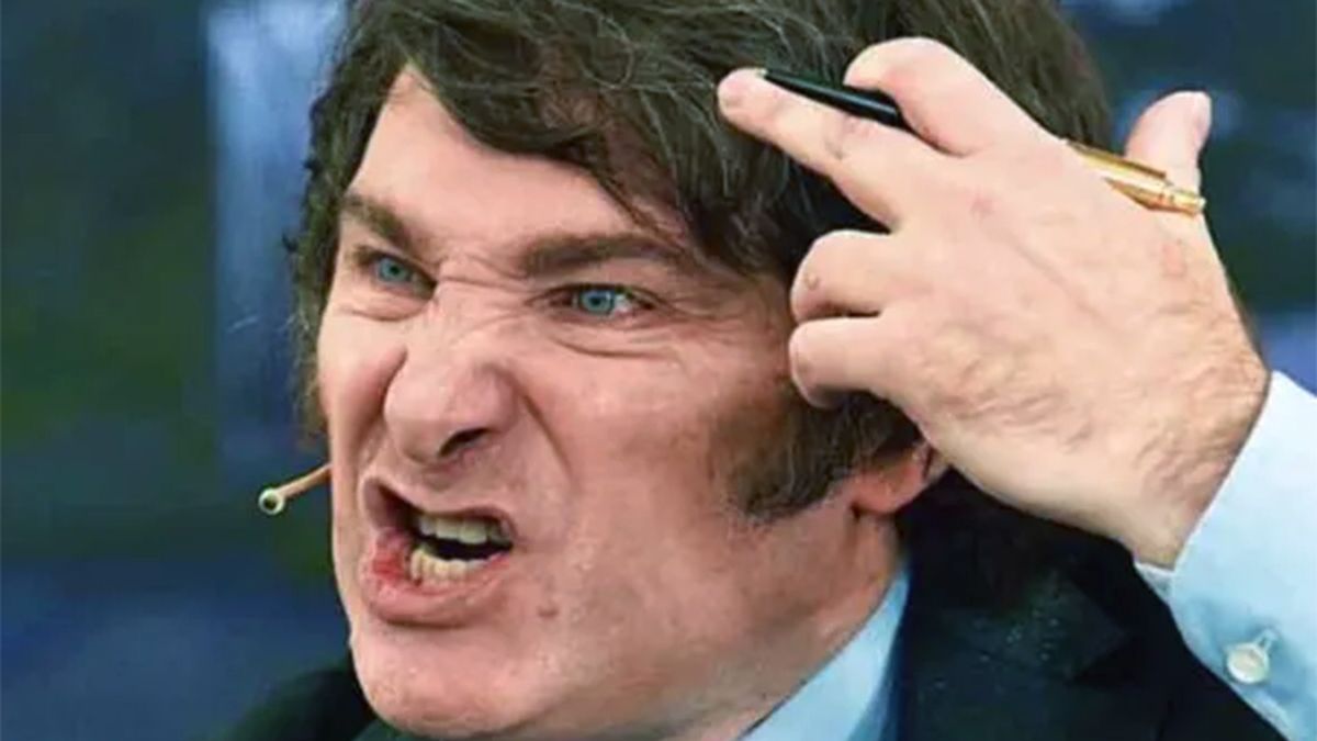La Justicia dictó otra cautelar contra el DNU de Javier Milei