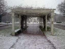 Balcarce nieve