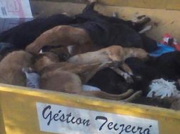 Gentileza: Lavoz.com.ar