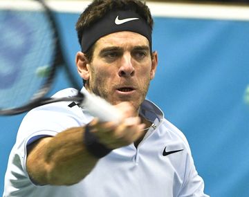 Del Potro derrotó a Dimitrov retuvo el título de Estocolmo