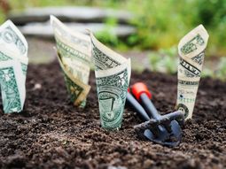 Las AFAP mostraron su rechazo al plebiscito por la seguridad social del PIT-CNT. Las AFAP mostraron su rechazo al plebiscito por la seguridad social del PIT-CNT.