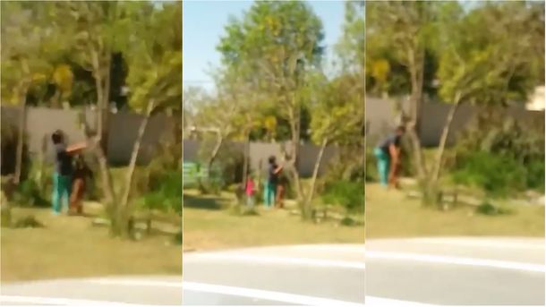 VIDEO: Una mujer apuñaló y dejó desangrar a un perro