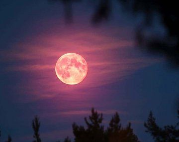 Luna Rosa de abril 2023: cuándo y dónde ver el fenómeno en la Argentina