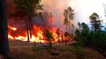 la temperatura llego a los 43° por los incendios en cordoba la temperatura llego a los 43° por los incendios en cordoba